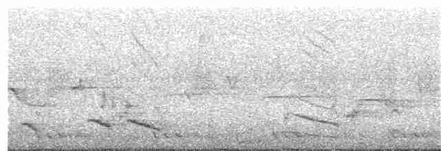 Коструба плямистокрила - ML146702211