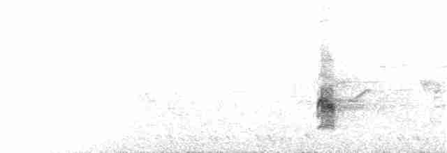 白頭翁(formosae/orii) - ML146753601