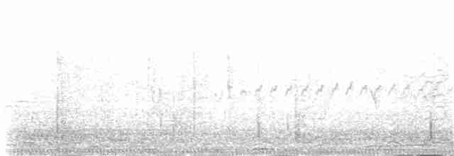 Кромбек північний (підвид brachyura/carnapi) - ML146759011