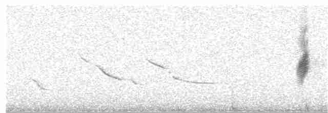Chihuahuan Meadowlark - ML146792951