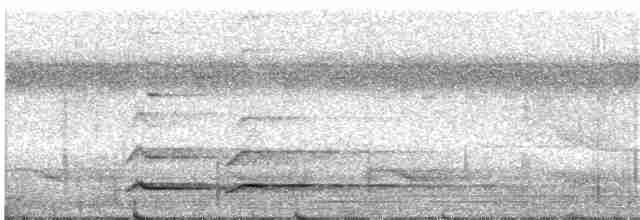 tukan rudozobý (ssp. tucanus) - ML146813321