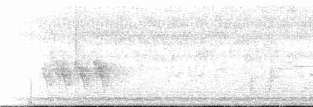 Вівсянка сірогорла - ML146834