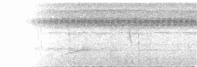 Anthrazitstirnvogel - ML146843121