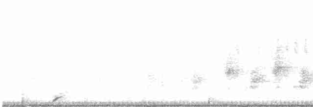 Oriental Reed Warbler - ML146892031