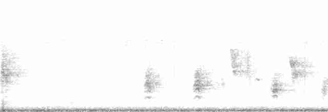 Oriental Reed Warbler - ML146892101