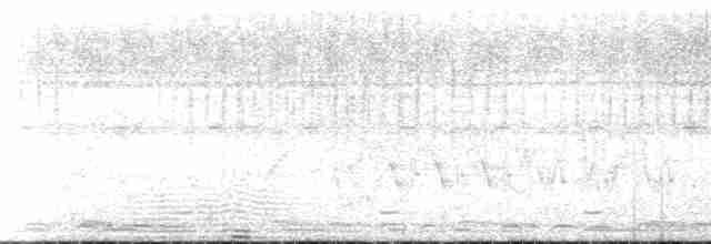 Вівсянка сірогорла - ML146897