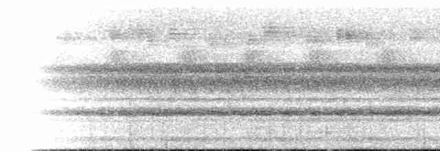 Каштановый зимородок - ML146932