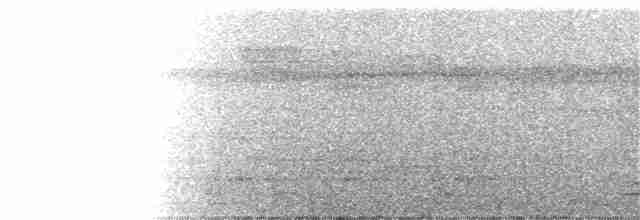 White-tailed Trogon - ML147046561