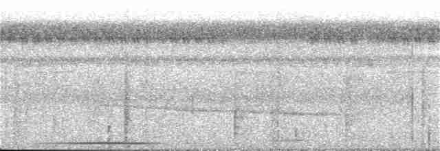 holub bledoprsý - ML147093271