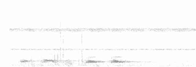 Nínox de Isla Navidad - ML147205351