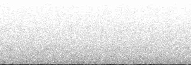 Reinita Citrina (striaticeps) - ML147213