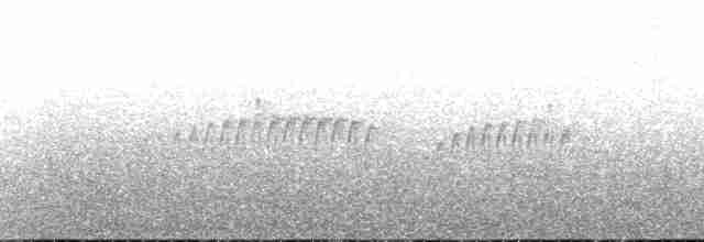 Eye-ringed Thistletail - ML147222