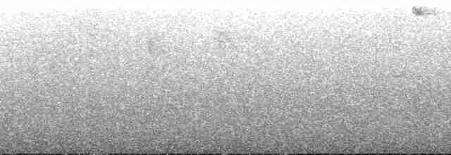 Tangara capucin (chrysogaster) - ML147246
