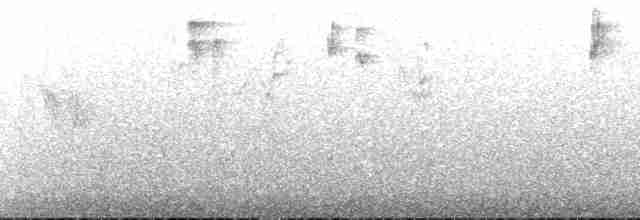 Reinita Citrina (striaticeps) - ML147308