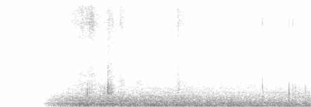 Büyük Kiskadi Tiranı - ML147350531
