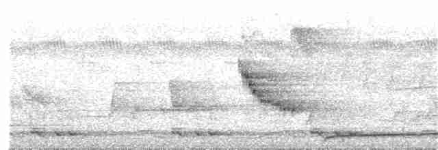 Кораловоклювая воронья кукушка - ML147445251