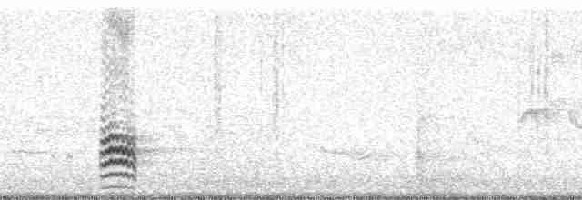 Weißbrustkleiber - ML14754
