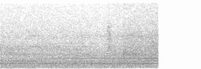 חרטומית חדת-זנב - ML147550561