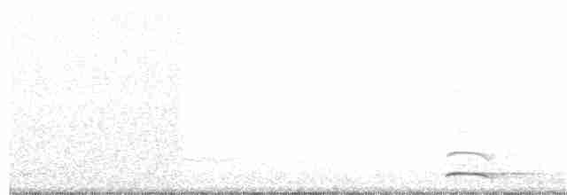 Сичик-горобець гірський [група californicum] - ML147554721