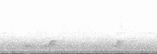 Западная совка (suttoni) - ML147593