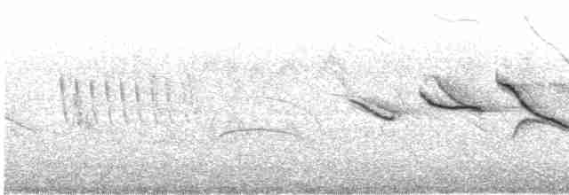 Rufous-collared Sparrow - ML147596521