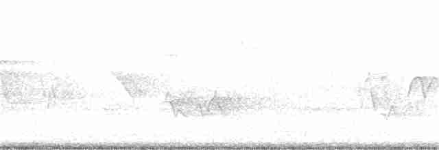 Cerulean Warbler - ML147601691