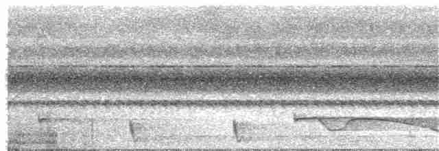 Riesennachtschwalbe - ML147605401