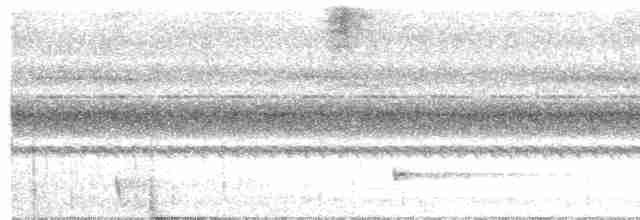 Large-tailed Nightjar - ML147605591