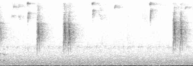 Bonapartewaldsänger (striaticeps) - ML147755