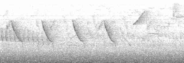 Alev Karınlı Dağ Tangarası (igniventris) - ML147867