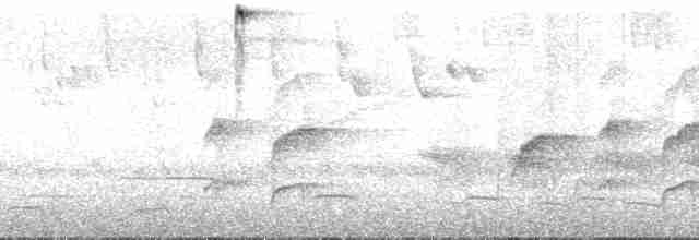 Tangara à ventre rouge (igniventris) - ML147871
