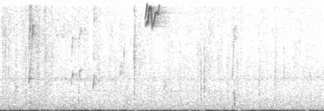 Alev Karınlı Dağ Tangarası (igniventris) - ML147874