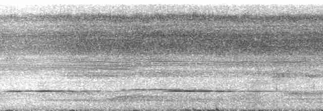 Tinamou de Bartlett - ML147912