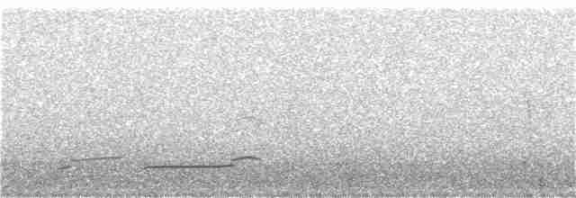 Eurasian Curlew - ML147938531