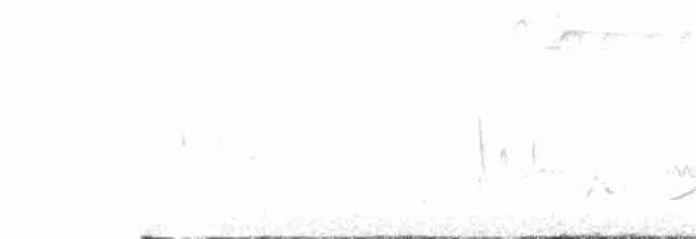 オウゴンイカル（aurantiacus） - ML147987421