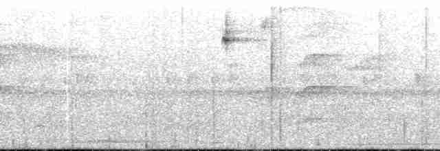 Black-eared Hemispingus (Black-eared) - ML148203