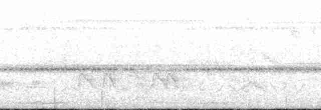 Kara Suratlı Çalı Serçesi - ML148262