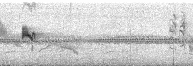 rustkronemaurvarsler (subfasciatus gr.) - ML148264