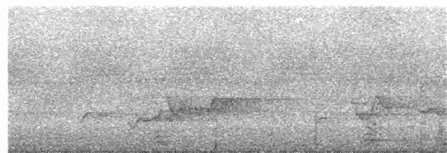 Кораловоклювая воронья кукушка - ML148288881
