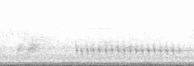 Каньонный крапивник - ML148337