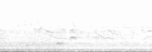 Braunaugenvireo (arizonae) - ML148338
