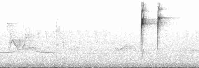 Piranga érythrocéphale - ML148372