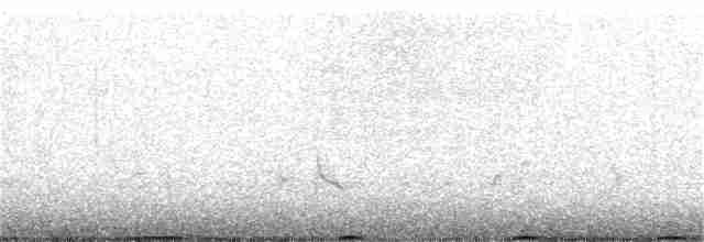 Tétras fuligineux - ML148465291