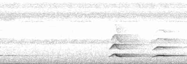 Toucan à bec rouge (cuvieri/inca) - ML148512
