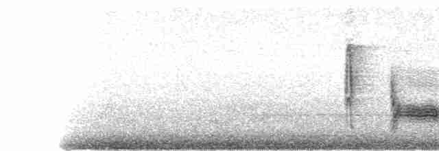 White-eyed Vireo - ML148526281
