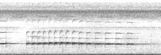 Graubrust-Ameisendrossel - ML148563