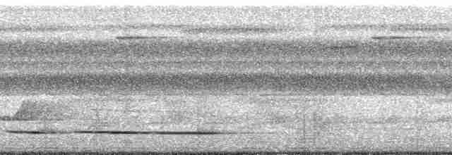 Ochre-striped Antpitta - ML148570