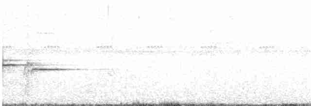 Дрізд-короткодзьоб сірий - ML148627631