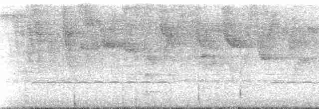 Черноухий колибри [группа melanogenys] - ML148635