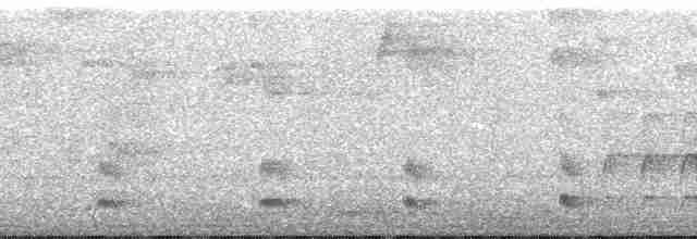 Batara à points blancs (tucuyensis) - ML148638